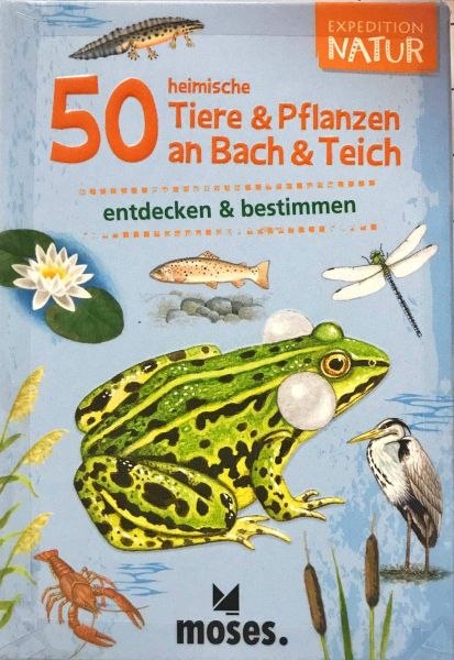 Spiel 2089.3