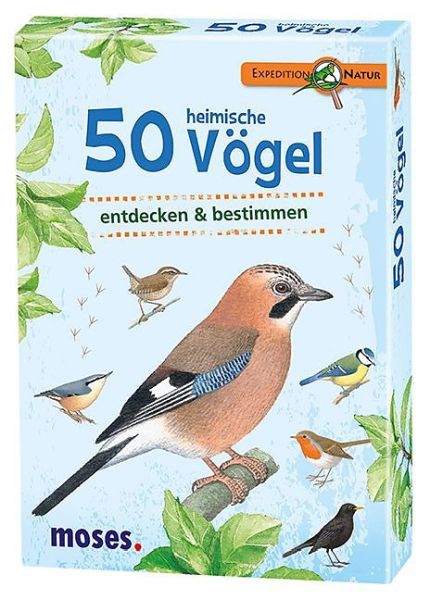 Spiel 2089.8